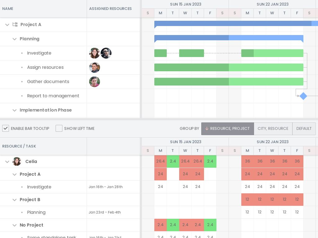 Resource utilization view - Shows a resource utilization view below a Gantt chart