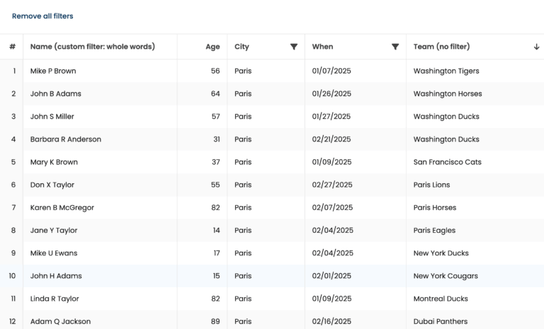 grid-react-vite-filtering-2